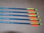 Easton Genesis vessző