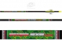 Maximal Carbon Edge
